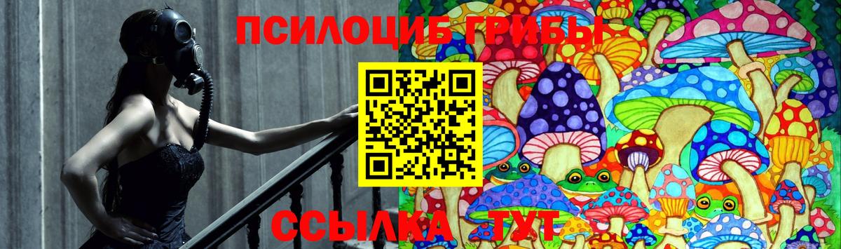 Галлюциногенные грибы ЛСД Клинцы